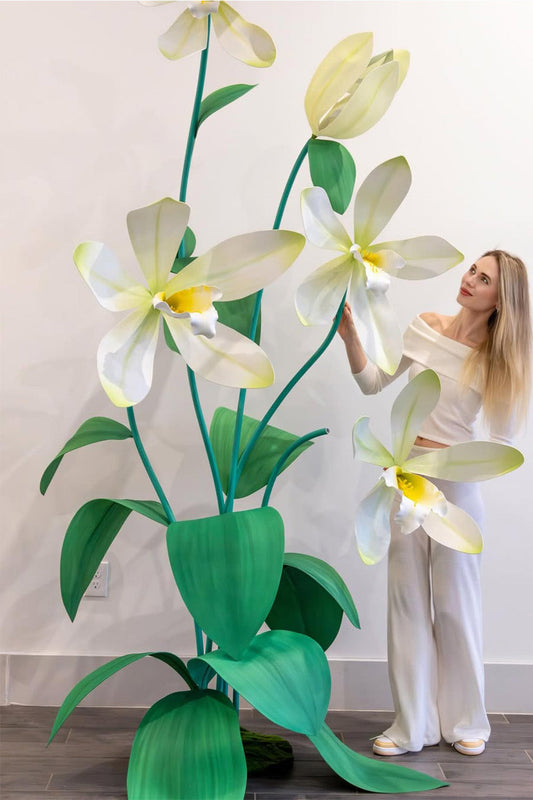 Set van gigantische witte orchideeën
