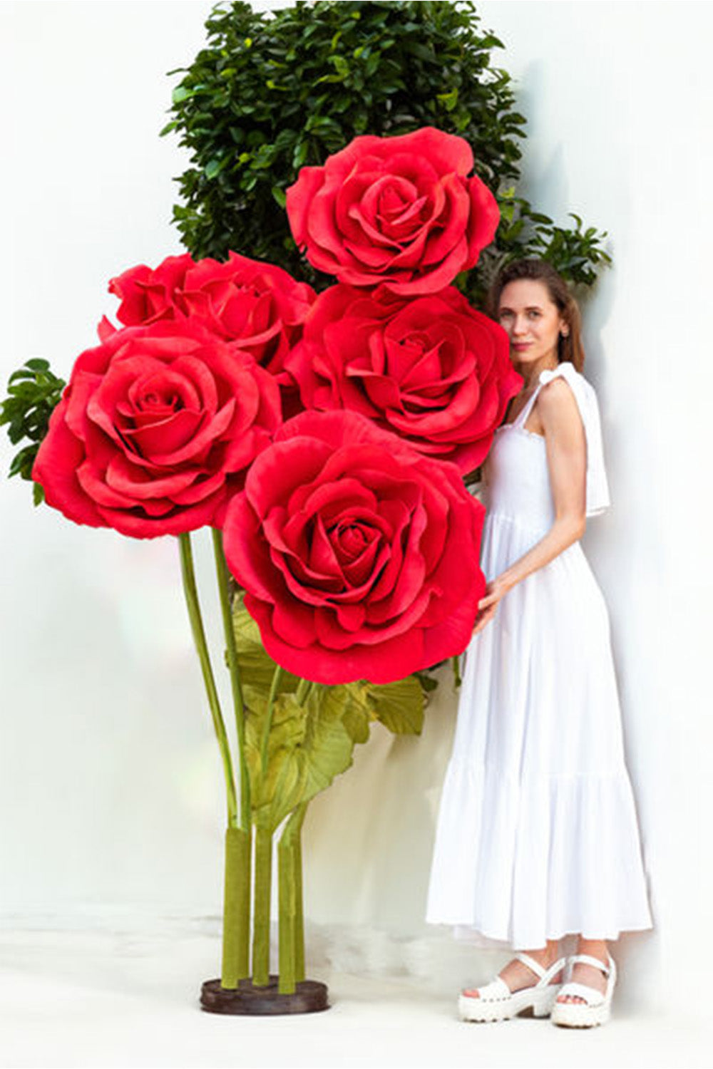 Set gigantische rode rozen
