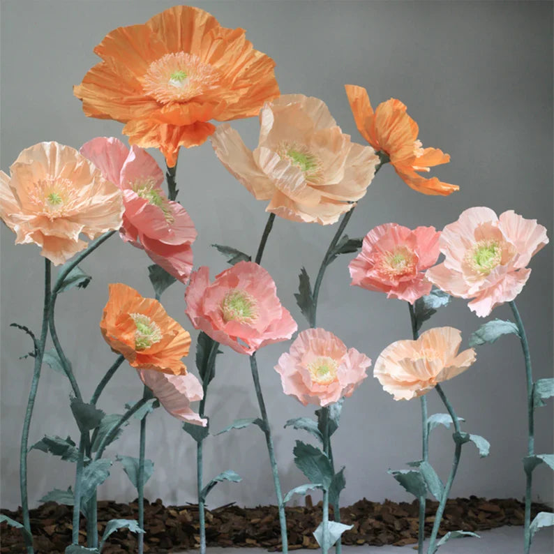Vrijstaande gigantische coquelicots bloemenachtergrond - set van 12 stuks