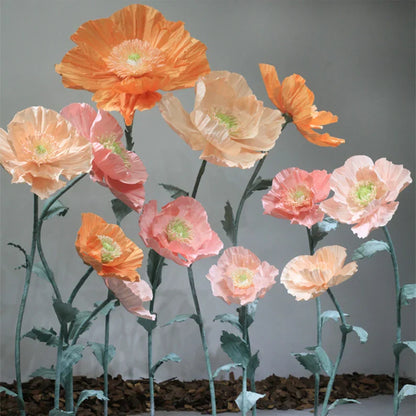 Vrijstaande gigantische coquelicots bloemenachtergrond - set van 12 stuks