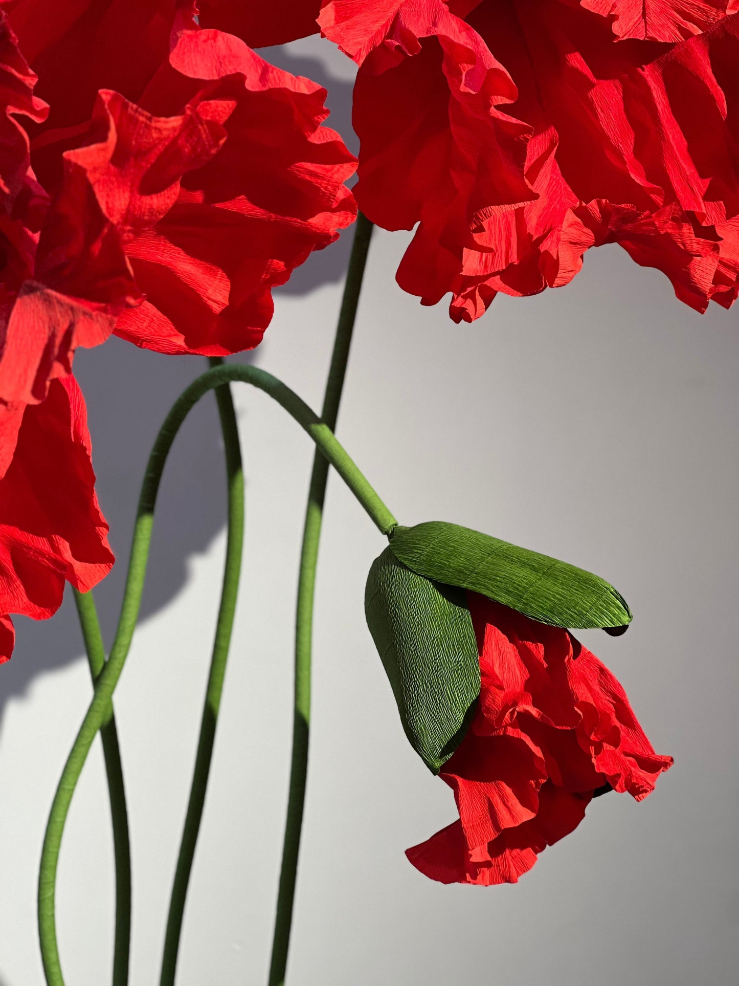 Betoverende rode papieren bloemen