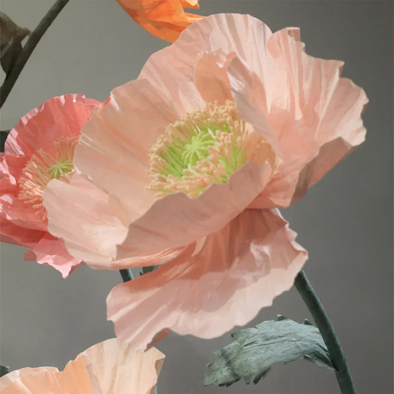 Vrijstaande gigantische coquelicots bloemenachtergrond - set van 12 stuks