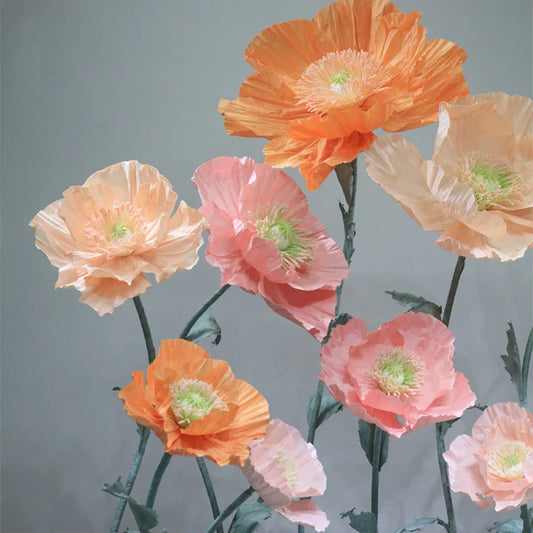 Vrijstaande gigantische coquelicots bloemenachtergrond - set van 12 stuks