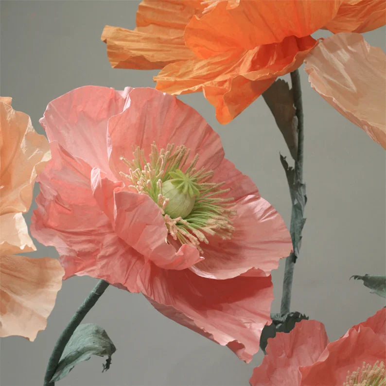 Vrijstaande gigantische coquelicots bloemenachtergrond - set van 12 stuks