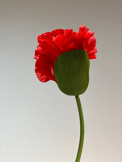 Betoverende rode papieren bloemen