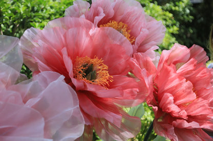 Reuzenpioenrozen in levendige tinten roze