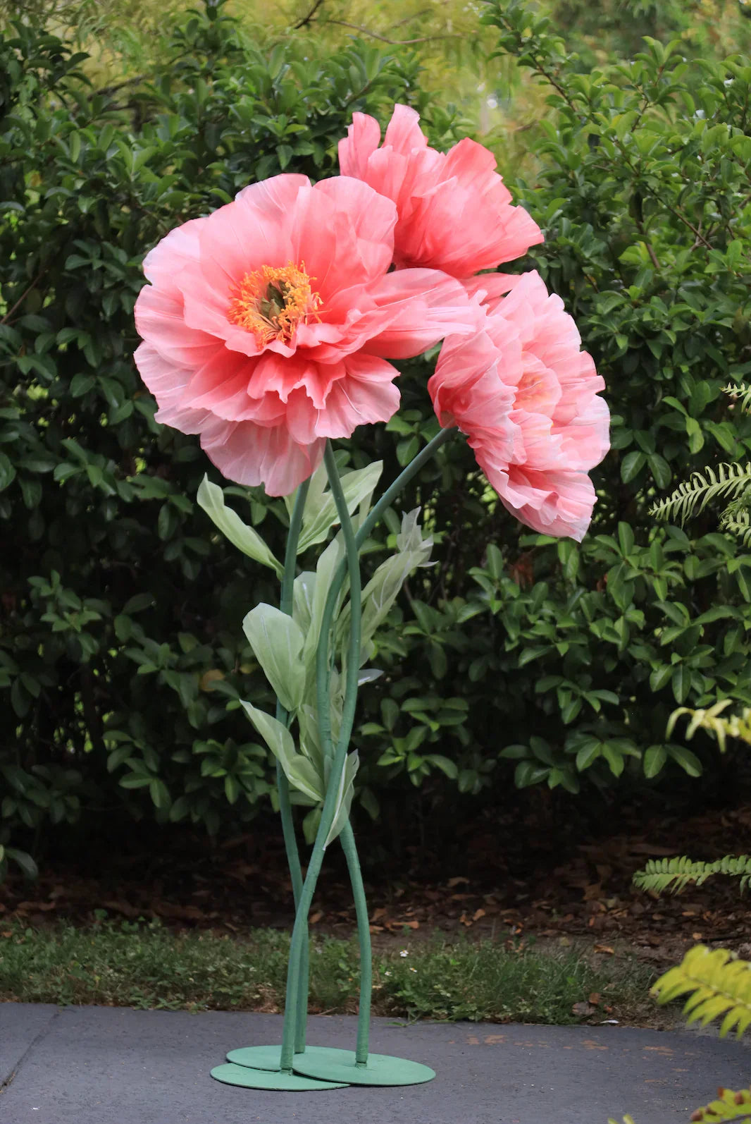 Reuzenpioenrozen in levendige tinten roze